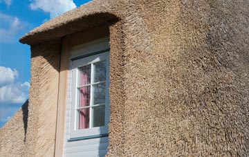 Chynoweth thatch roof disadvantages